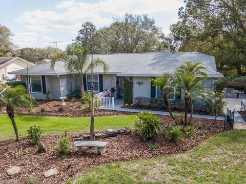 7056 Wright Ave, Mount Dora, FL 32757 photo 1
