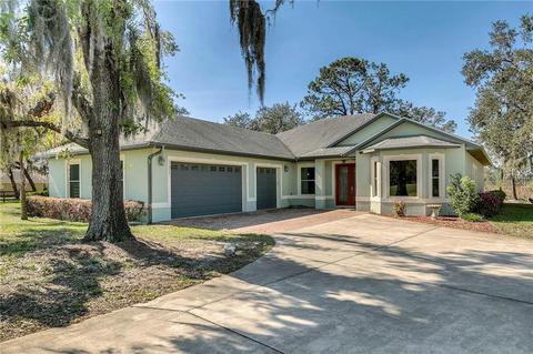 21328 Marsh View Ct, Clermont, FL 34715 photo 1