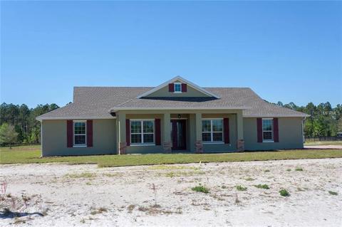 35515 Seneca Reserve Dr, Eustis, FL 32736 photo 1