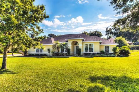 1407 Eustis Rd, Eustis, FL 32726 photo 1