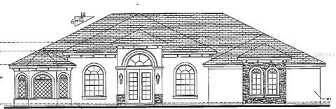 323 Two Lakes Ln, Eustis, FL 32726 photo 1