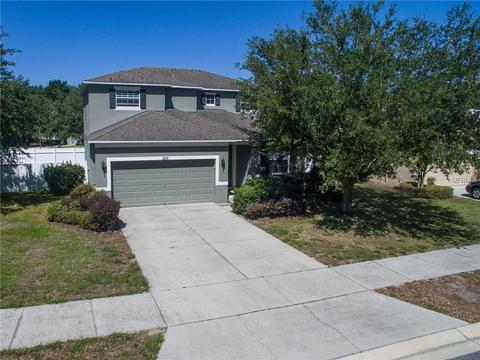 308 Misty Oaks Ln, Eustis, FL 32736 photo 1