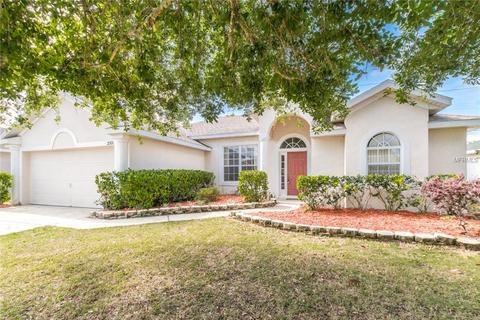 2321 Wolf Ridge Ln, Mount Dora, FL 32757 photo 1