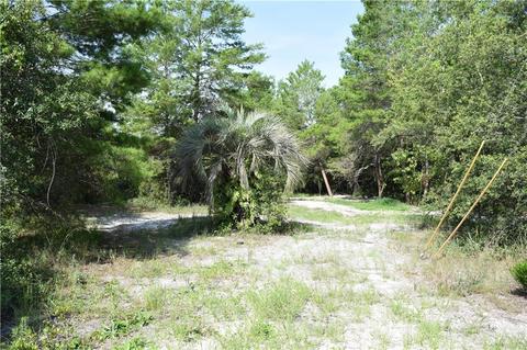 31400 Orange St, Eustis, FL 32736 photo 1