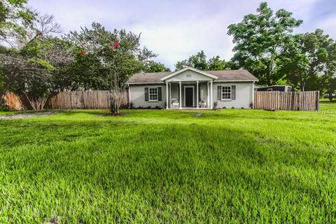 220 E 20th Ave, Mount Dora, FL 32757 photo 1