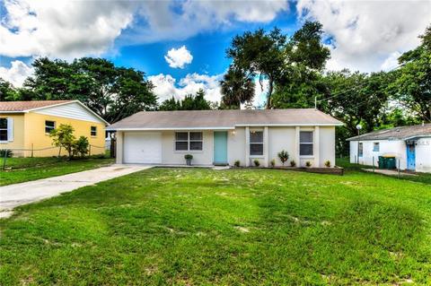 216 Pine Ave, Mount Dora, FL 32757 photo 1