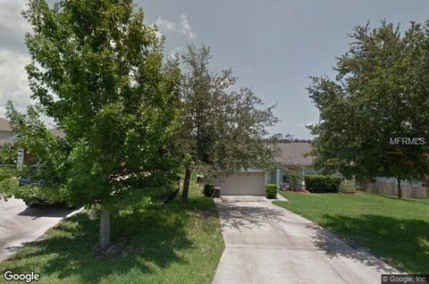 11636 Pineloch Loop, Clermont, FL 34711 photo 1