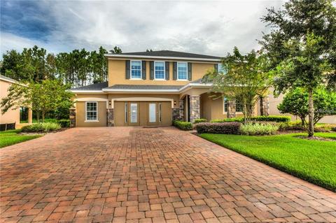 3205 Cypress Grove Dr, Eustis, FL 32736 photo 1