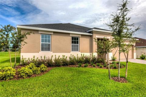 3333 Cypress Grove Dr, Eustis, FL 32736 photo 1
