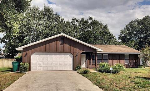 1601 Blackberry Ct, Eustis, FL 32726 photo 1