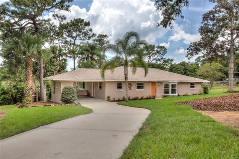 1135 Morningside Dr, Eustis, FL 32726 photo 1