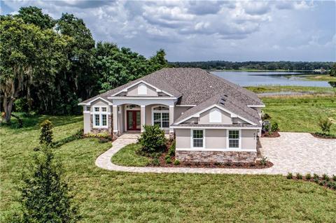 433 Two Lakes Ln, Eustis, FL 32726 photo 1
