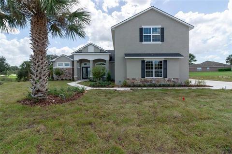 36823 Wolf Ct, Eustis, FL 32736 photo 1