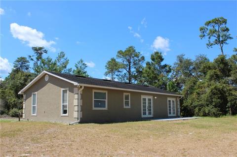 31128 State Road 44, Eustis, FL 32736 photo 1