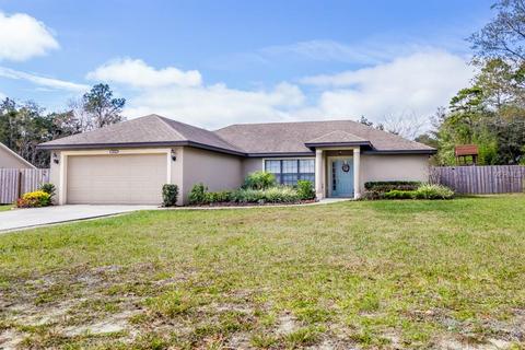 36049 Kalamazoo Dr, Eustis, FL 32736 photo 1