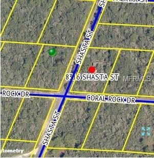 8315 Shasta St, Webster, FL 33597 photo 1