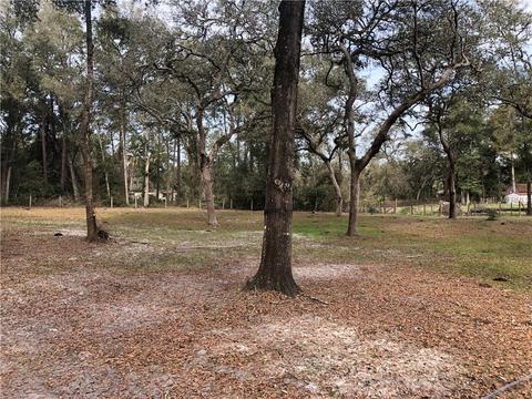 11547 Cr 683, Webster, FL 33597 photo 1