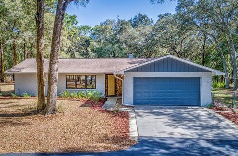 35244 County Road 439, Eustis, FL 32736 photo 1