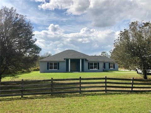 41249 Daffodil Ct, Eustis, FL 32736 photo 1