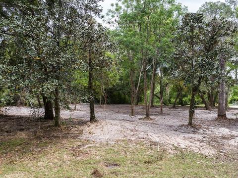 1143 Elysium Blvd, Mount Dora, FL 32757 photo 1