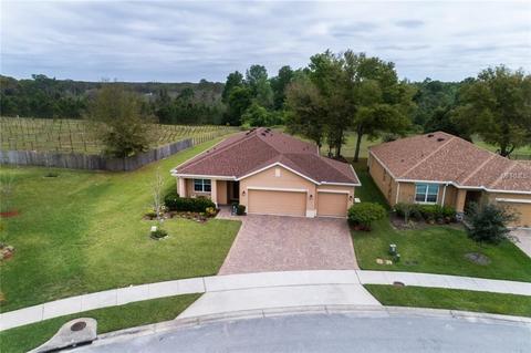 1421 Osprey Ridge Dr, Eustis, FL 32736 photo 1
