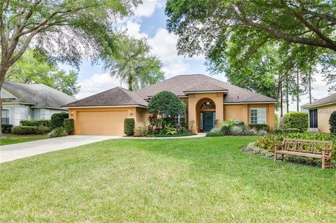 19407 Spring Oak Dr, Eustis, FL 32736 photo 1