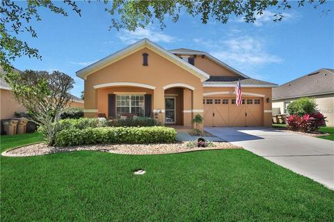 20932 Oldenburg Loop, Mount Dora, FL 32757 photo 1