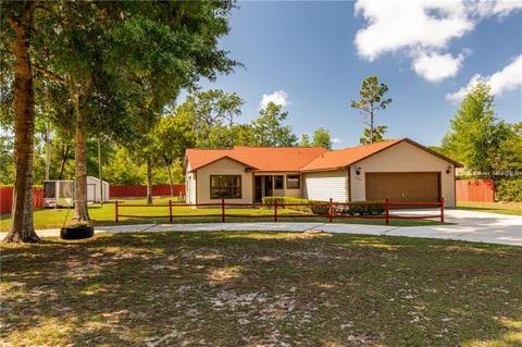19242 E 5th St, Umatilla, FL 32784 photo 1