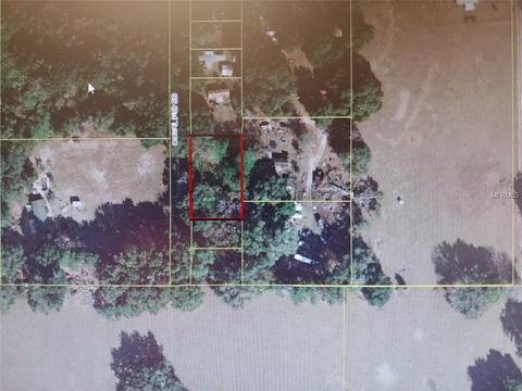 13471 SE 43rd Ter, Webster, FL 33597 photo 1