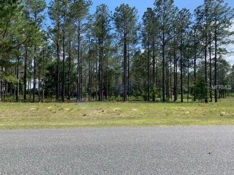 35151 Pinegate Trl, Eustis, FL 32736 photo 1