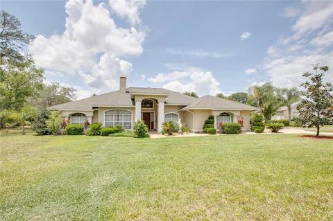36403 Forestdel Dr, Eustis, FL 32736 photo 1
