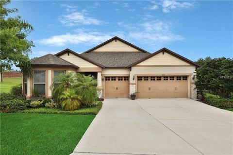 30109 Hackney Loop, Mount Dora, FL 32757 photo 1
