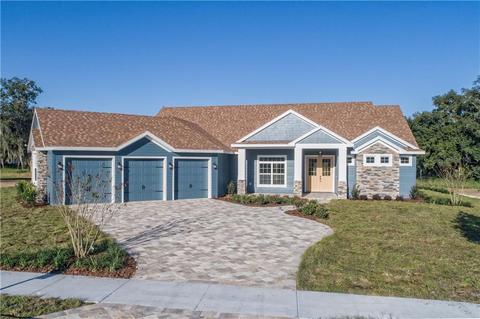 417 Two Lakes Ln, Eustis, FL 32726 photo 1