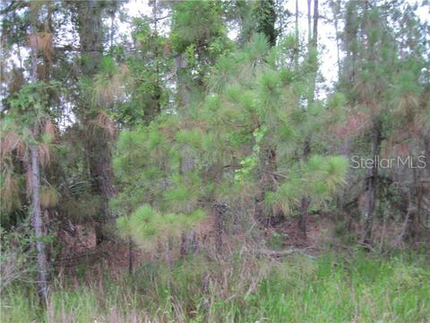 39831 Royal Trails Rd, Eustis, FL 32736 photo 1