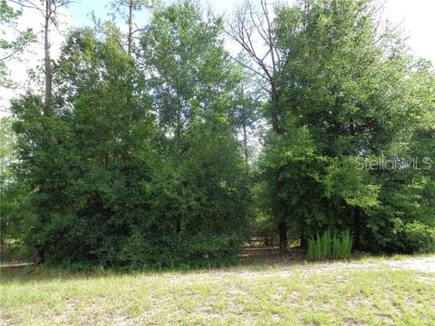 35703 High Pines Dr, Eustis, FL 32736 photo 1