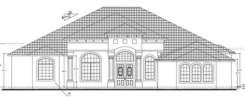 441 Two Lakes Ln, Eustis, FL 32726 photo 1