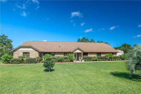 36733 Forestdel Dr, Eustis, FL 32736 photo 1