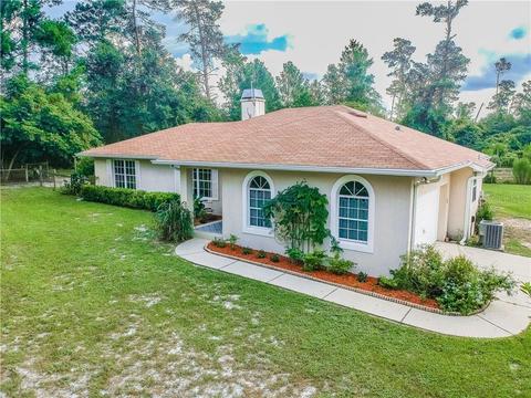 41204 Balsam St, Eustis, FL 32736 photo 1