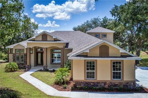 24226 Deep Springs Loop, Eustis, FL 32726 photo 1
