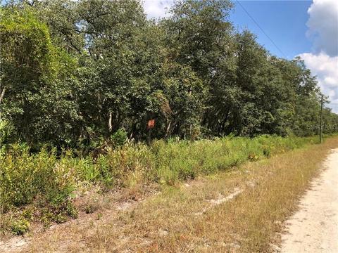34495 Primrose Ln, Webster, FL 33597 photo 1