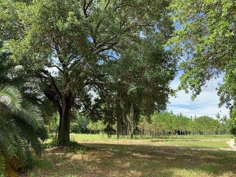 13834 Max Hooks Rd, Clermont, FL 34711 photo 1