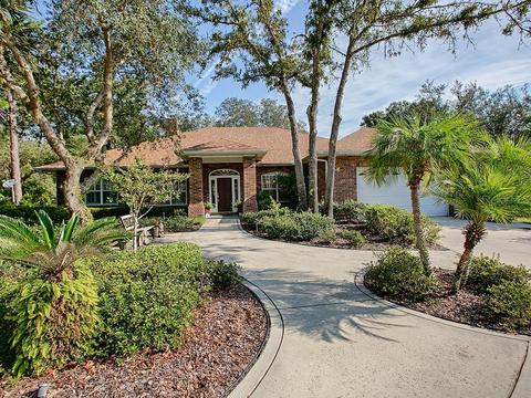 36001 Tanglewood Dr, Eustis, FL 32736 photo 1