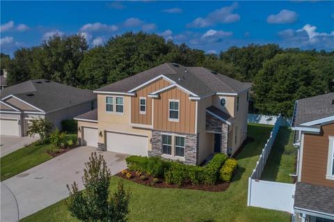 4024 Blazewater Ct, Eustis, FL 32736 photo 1