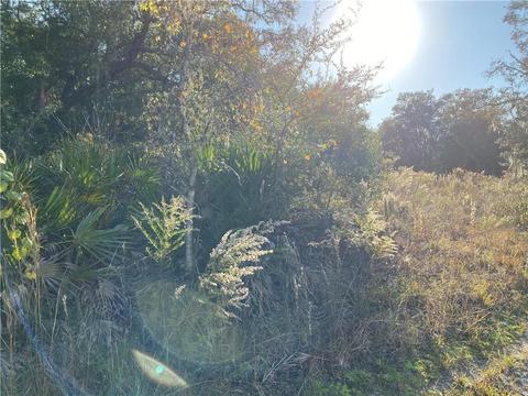 8480 Stone Dr, Webster, FL 33597 photo 1