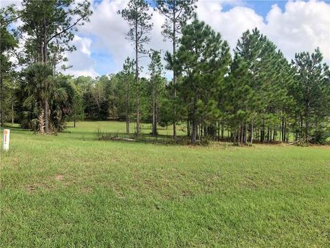35701 Panther Ridge Rd, Eustis, FL 32736 photo 1