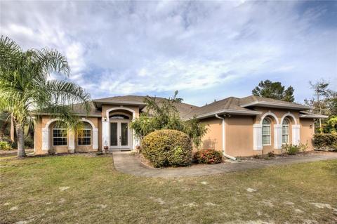 41731 Mango St, Eustis, FL 32736 photo 1