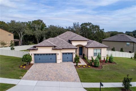 30210 Bretton Loop, Mount Dora, FL 32757 photo 1