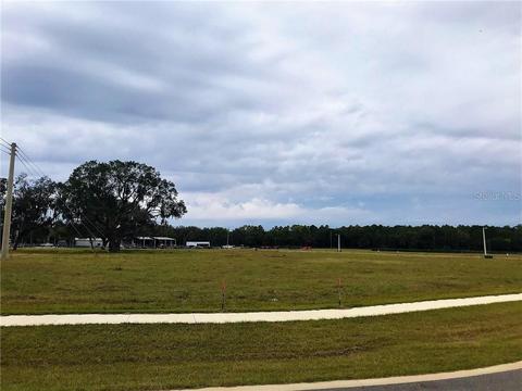 1341 Cobb Dr, Eustis, FL 32736 photo 1