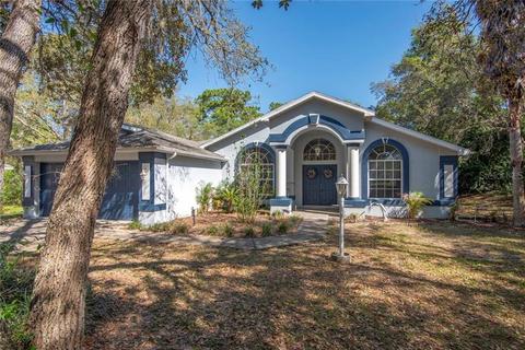 1355 E Mckinley St, Hernando, FL 34442 photo 1