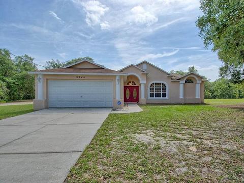 9244 Native Rock Dr, Webster, FL 33597 photo 1